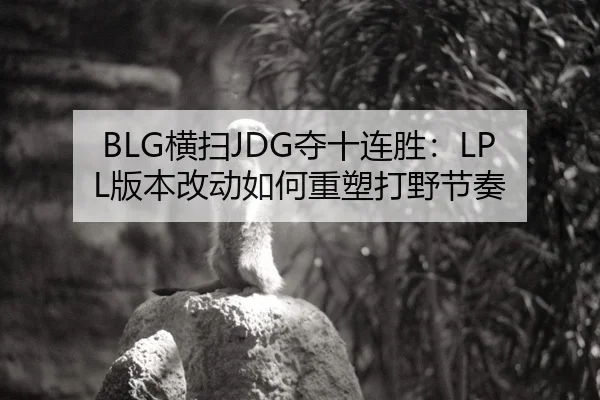 BLG横扫JDG夺十连胜：LPL版本改动如何重塑打野节奏