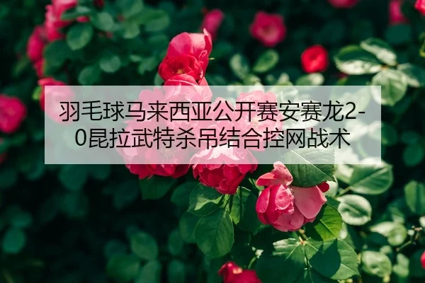 羽毛球马来西亚公开赛安赛龙2-0昆拉武特杀吊结合控网战术